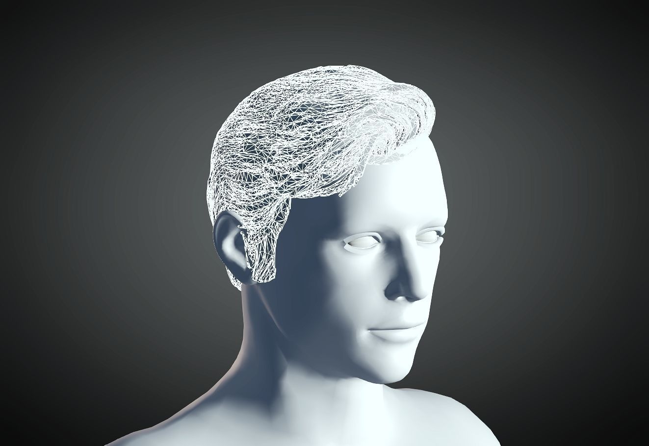 3D Hair style for Man 22 3D model 3D print model_3
