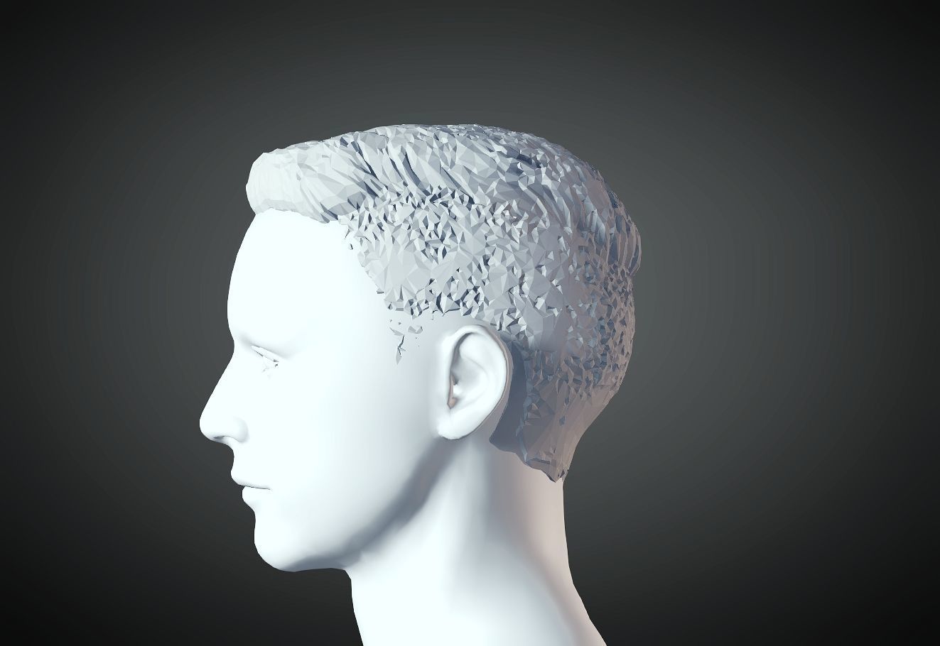 3D Hair style for Man 23 3D model 3D print model_5