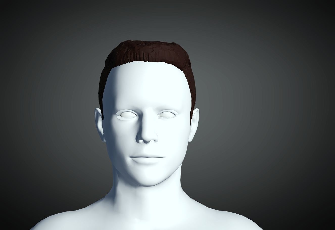3D Hair style for Man 23 3D model 3D print model_1