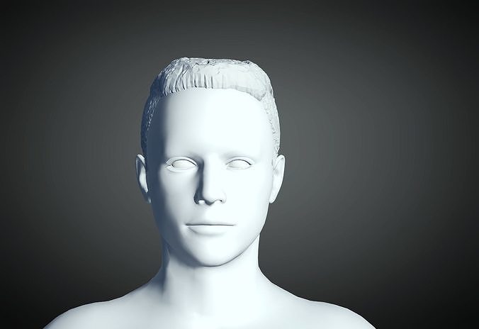 3D Hair style for Man 23 3D model 3D print model