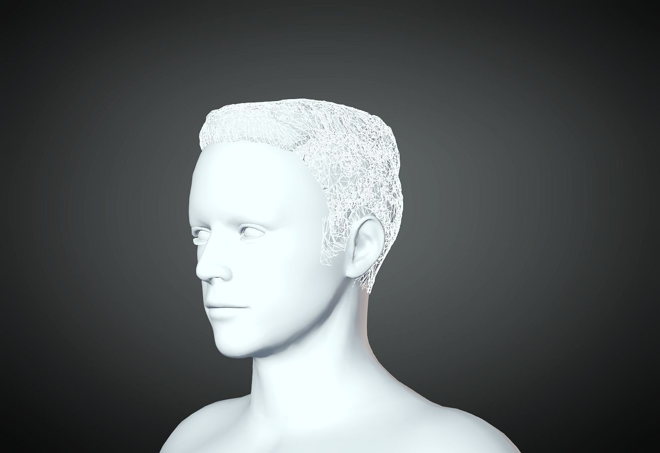 3D Hair style for Man 23 3D model 3D print model_2