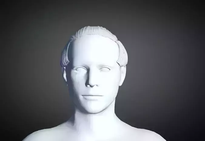 3D Hair style for Man 24 3D model