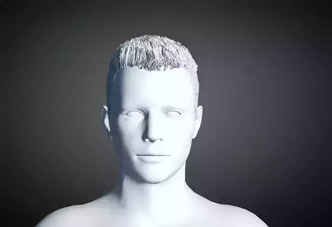 3D Hair style for Man 26 3D model