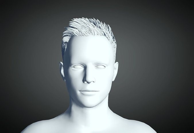 3D Hair style for Man 27 3D model 3D print model