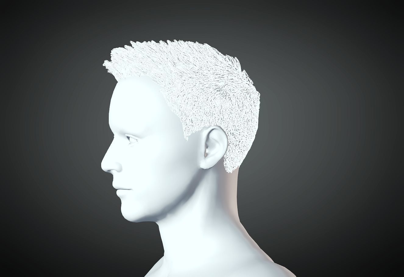 3D Hair style for Man 27 3D model 3D print model_3