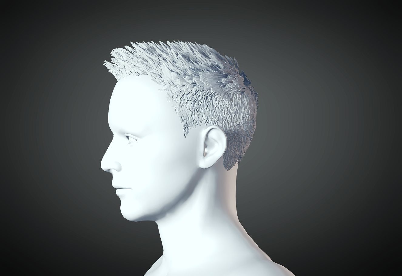 3D Hair style for Man 27 3D model 3D print model_1
