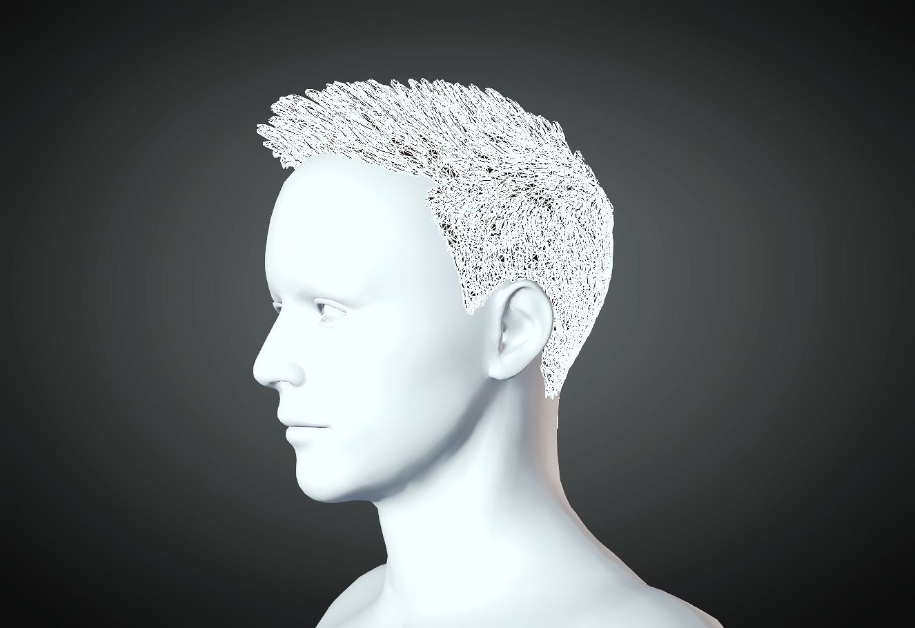 3D Hair style for Man 28 3D model 3D print model_3