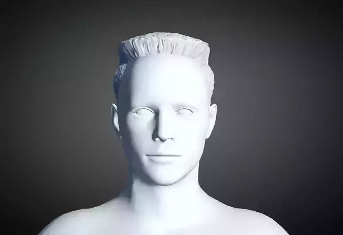 3D Hair style for Man 29 3D model