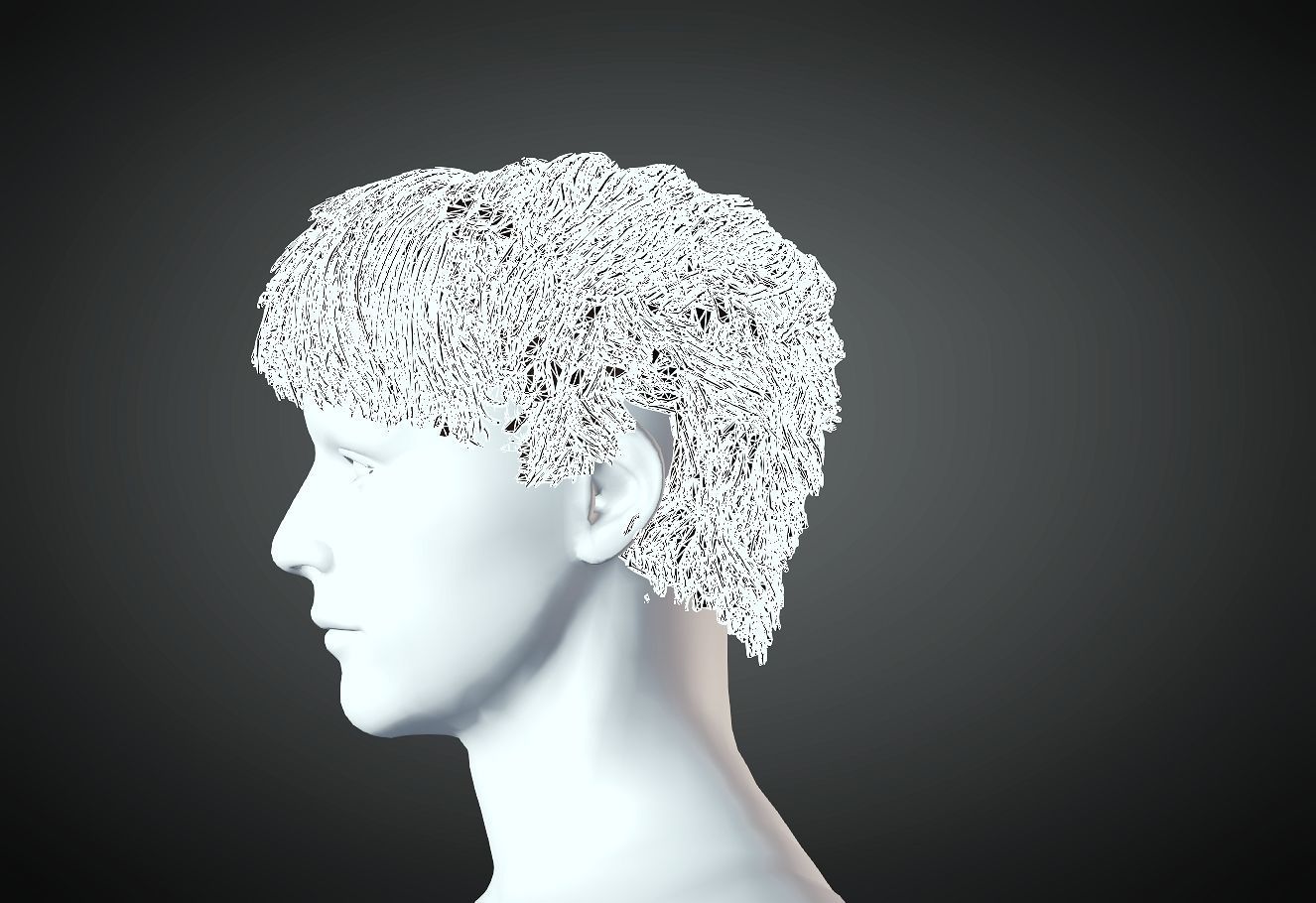 3D Hair style for Man 33 3D model 3D print model_3