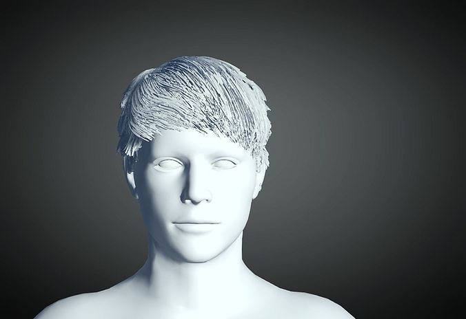 3D Hair style for Man 33 3D model 3D print model