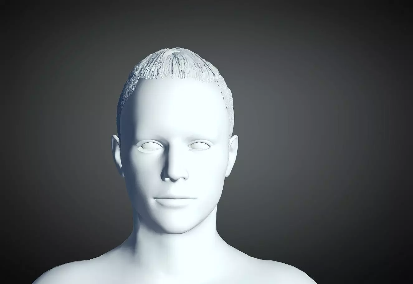 3D Hair style for Man 34 3D model 3D print model