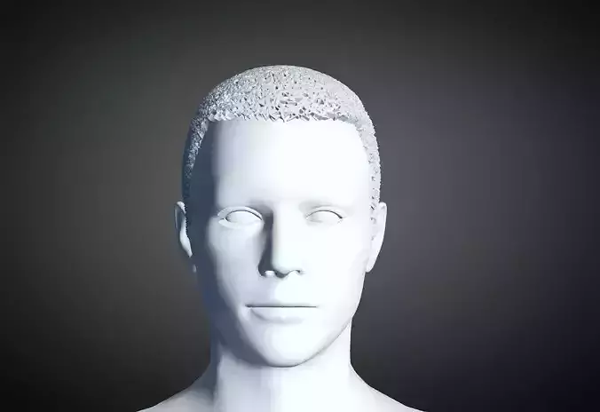 3D Hair style for Man 35 3D model