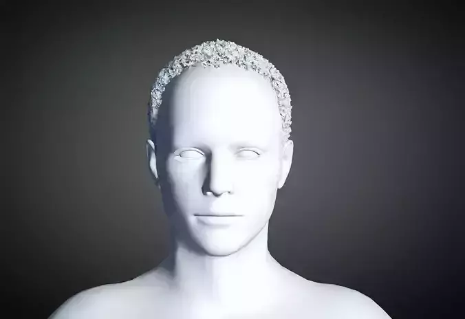 3D Hair style for Man 37 3D model