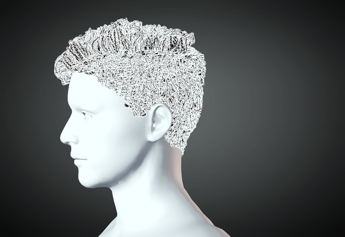 3D Hair style for Man 38 3D model 3D print model_3