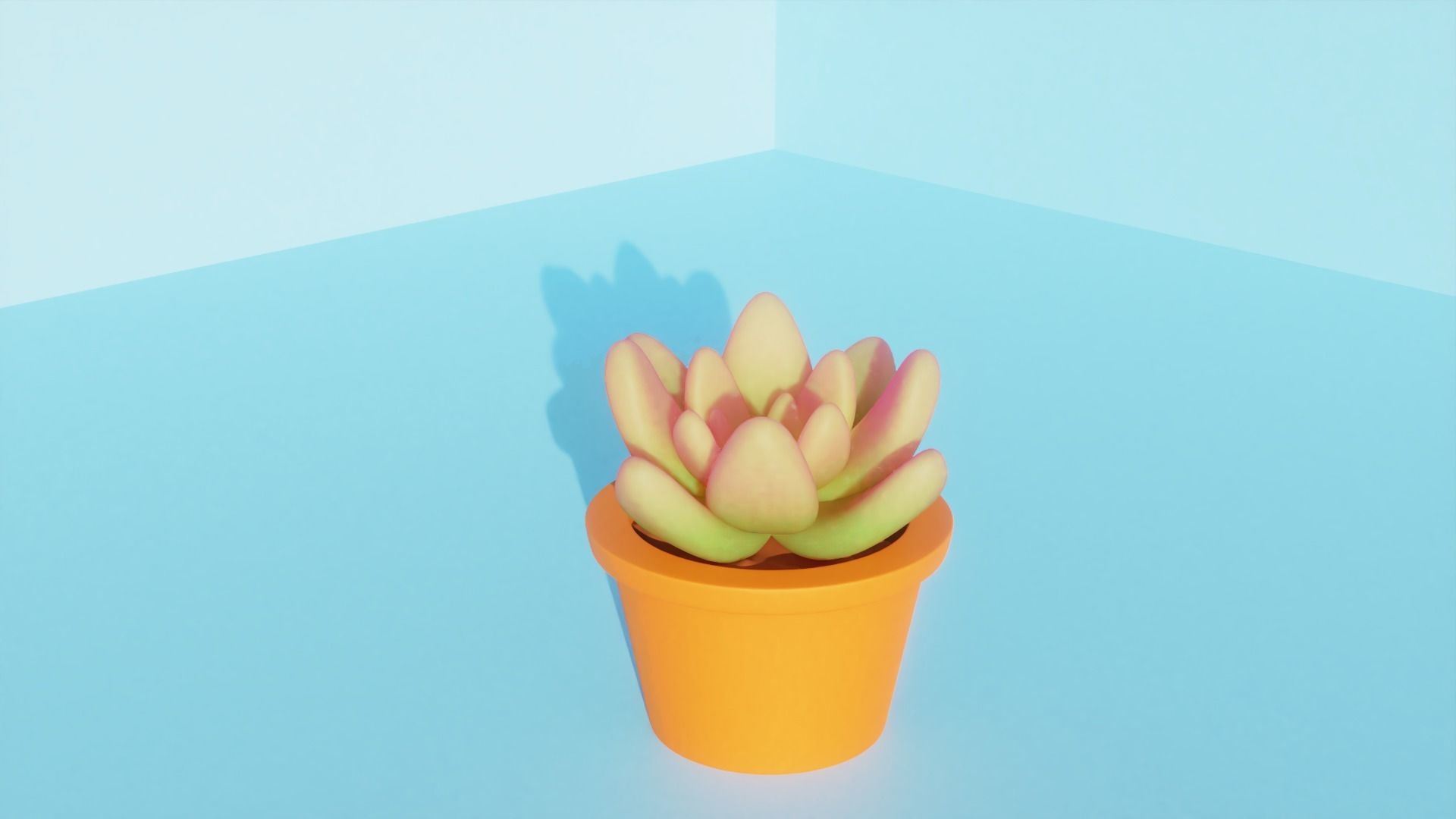 Succulent plant in pot 3D model_1