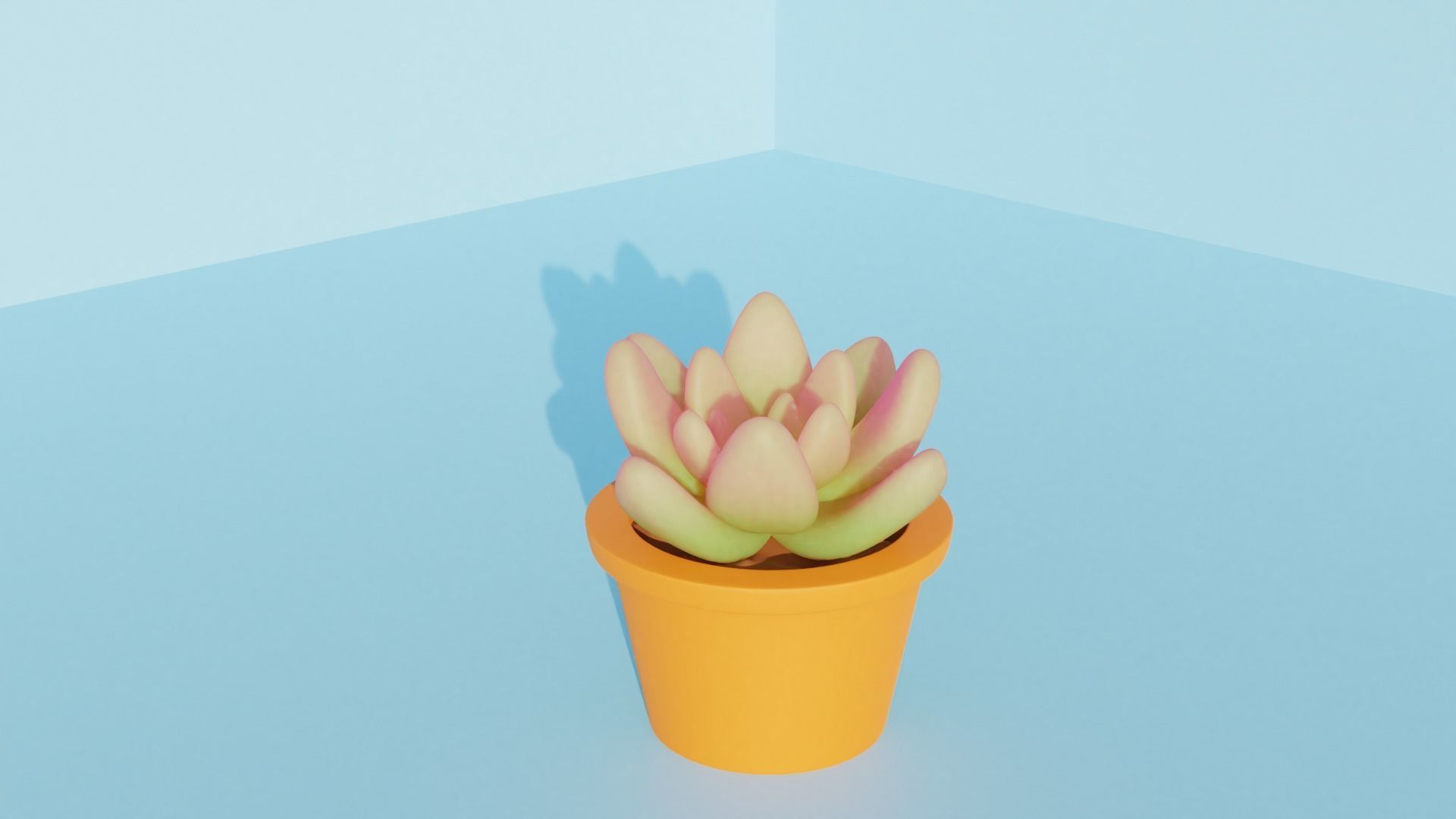 Succulent plant in pot 3D model_4