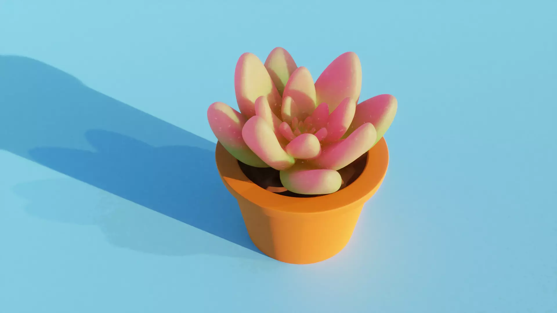 Succulent plant in pot 3D model_0