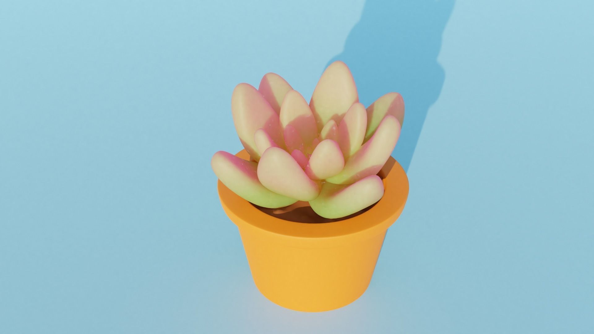 Succulent plant in pot 3D model_5