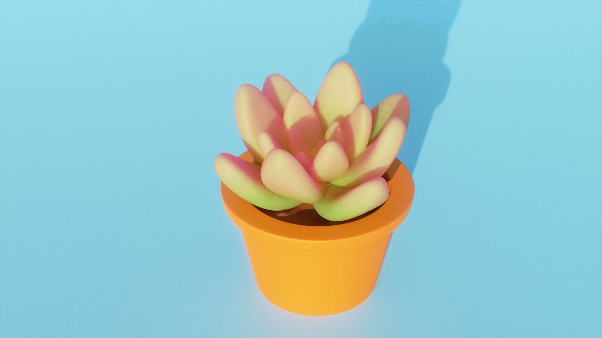 Succulent plant in pot 3D model_2
