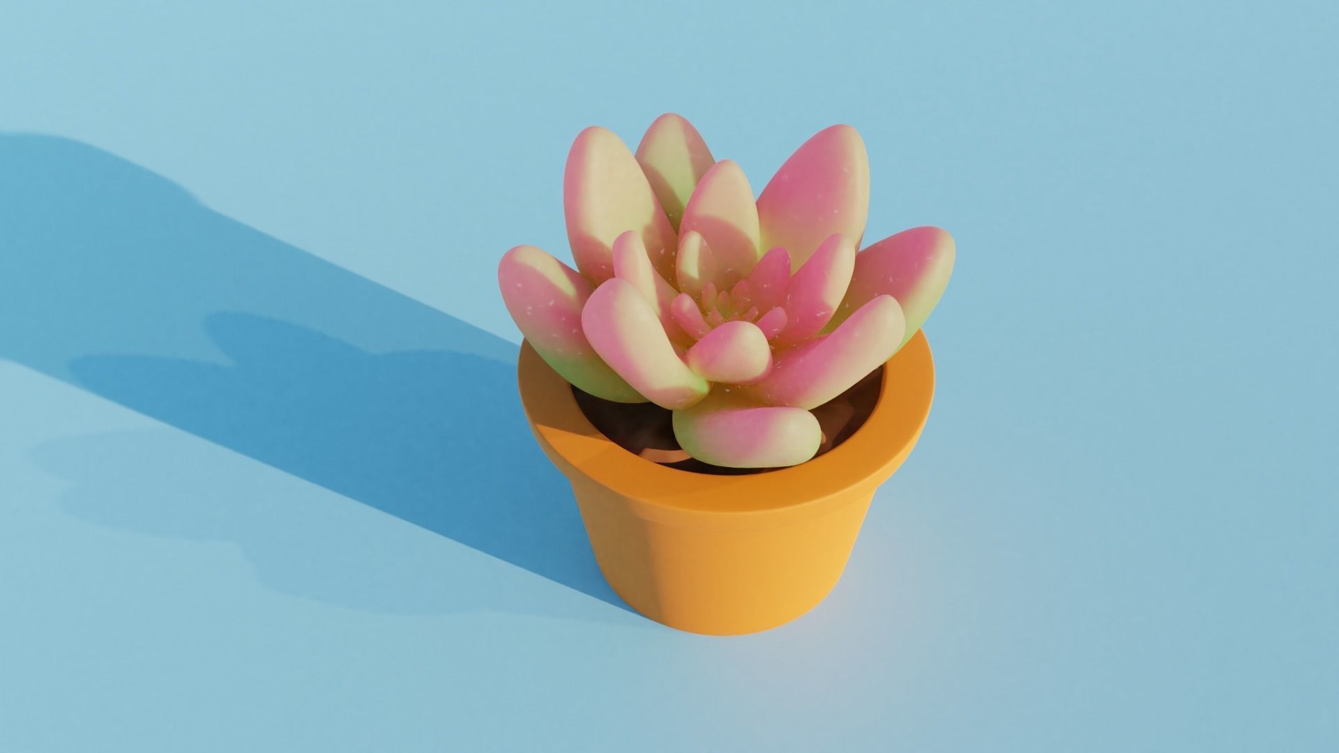 Succulent plant in pot 3D model_3