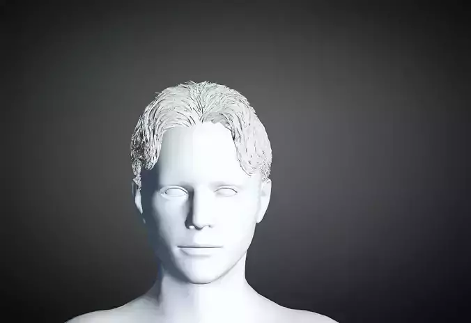 3D Hair style for Man 40 3D model