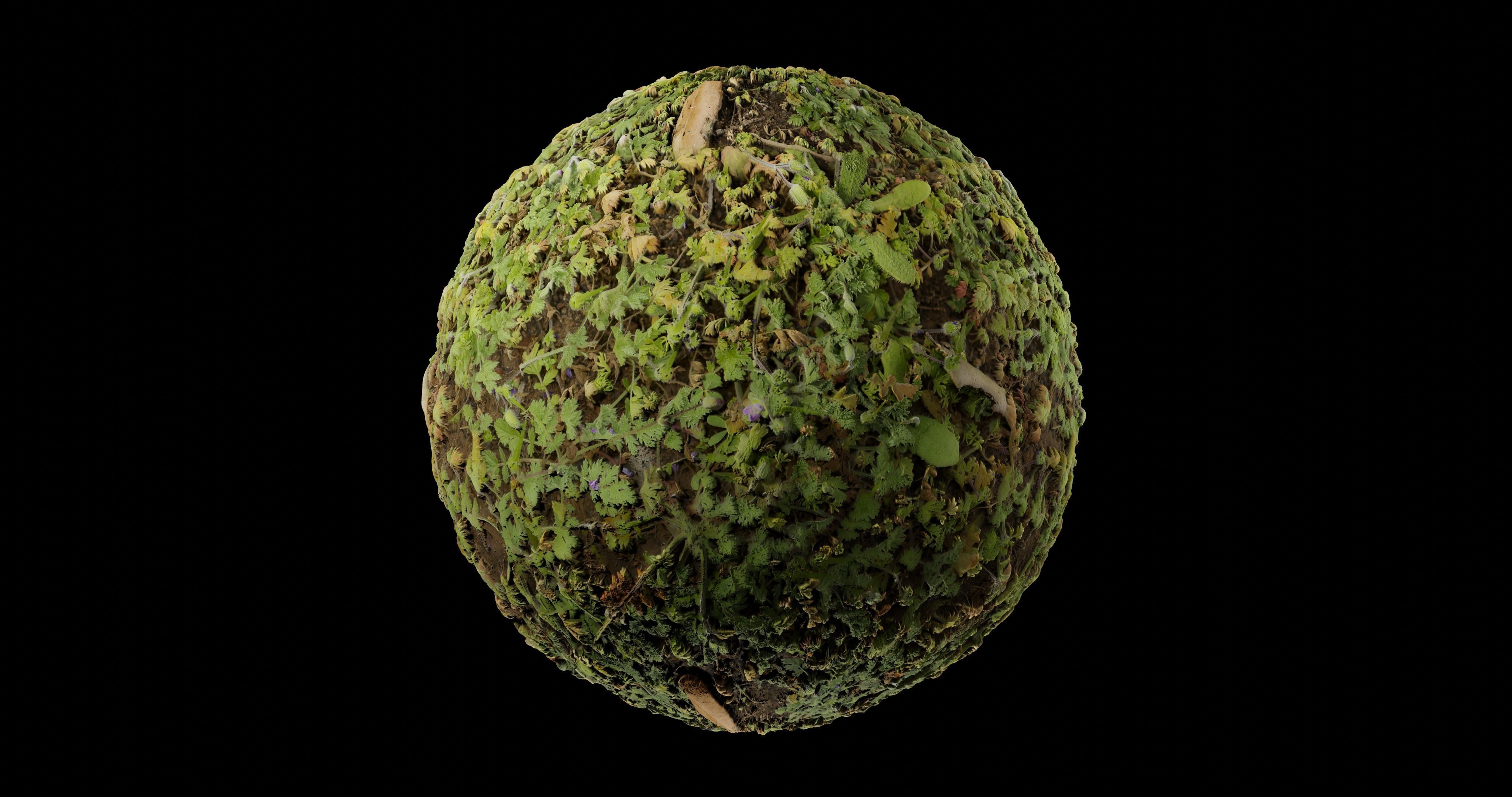 Low Vegetation 9 Texture_1