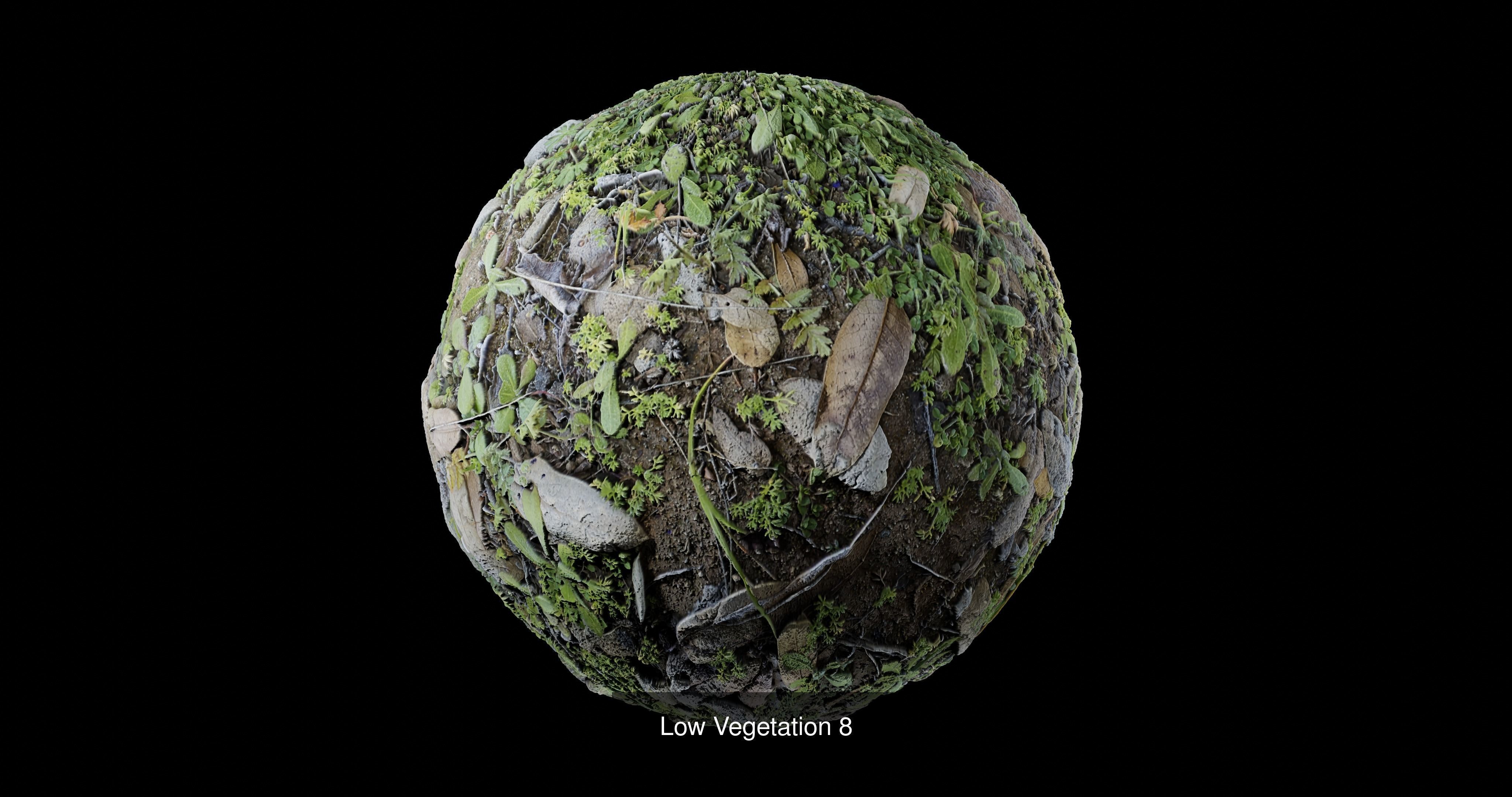 Low Vegetation Pack Texture_8