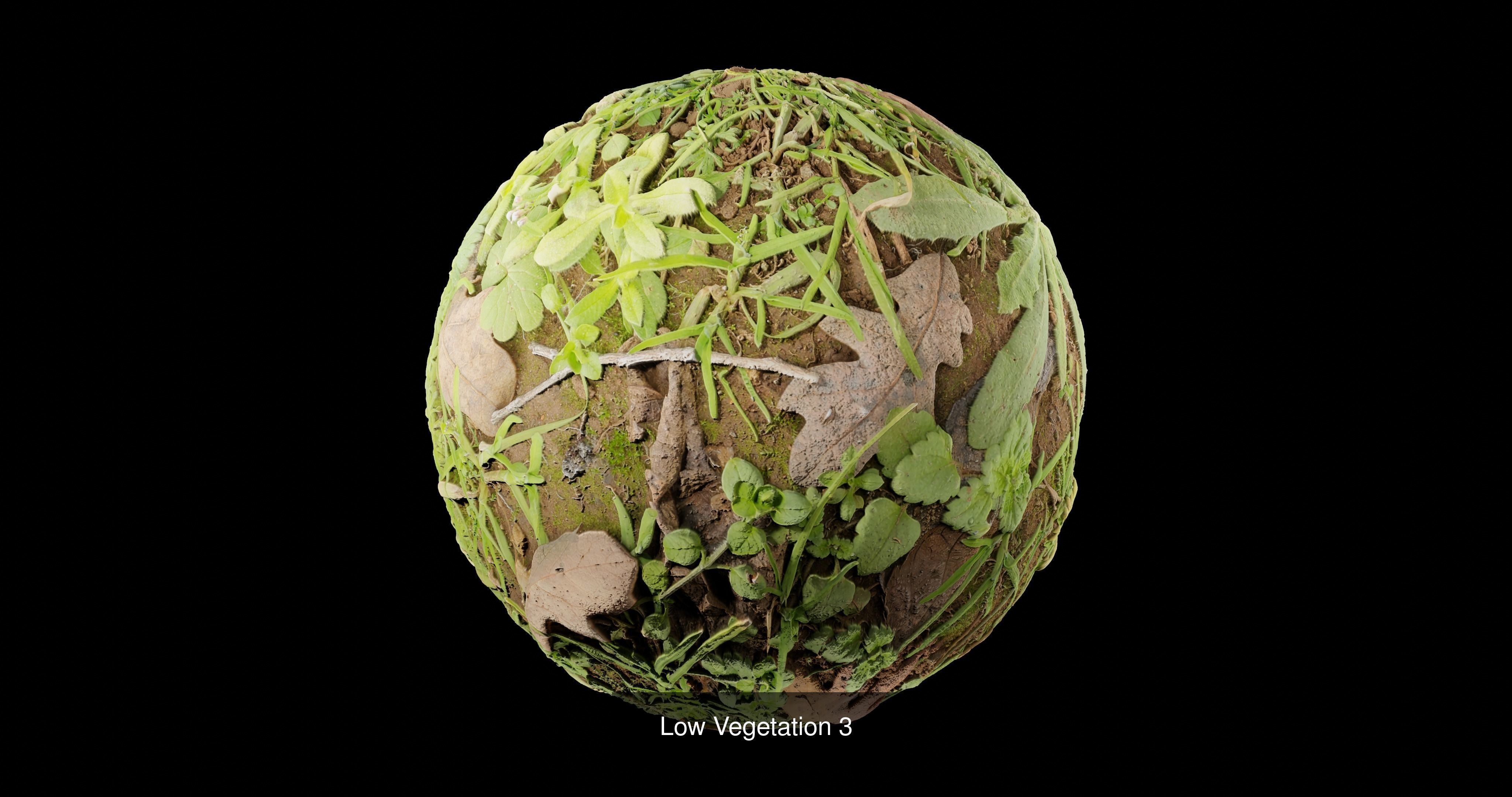 Low Vegetation Pack Texture_3