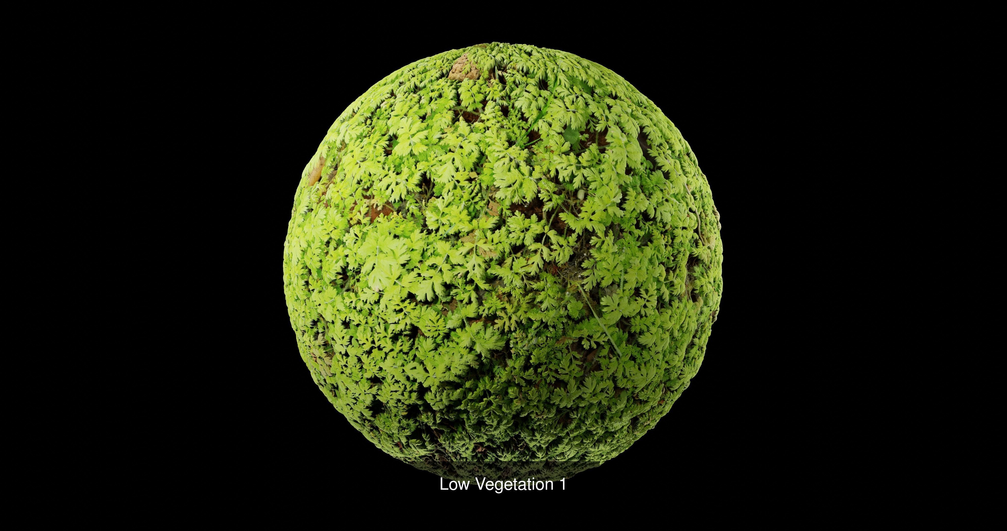 Low Vegetation Pack Texture_1