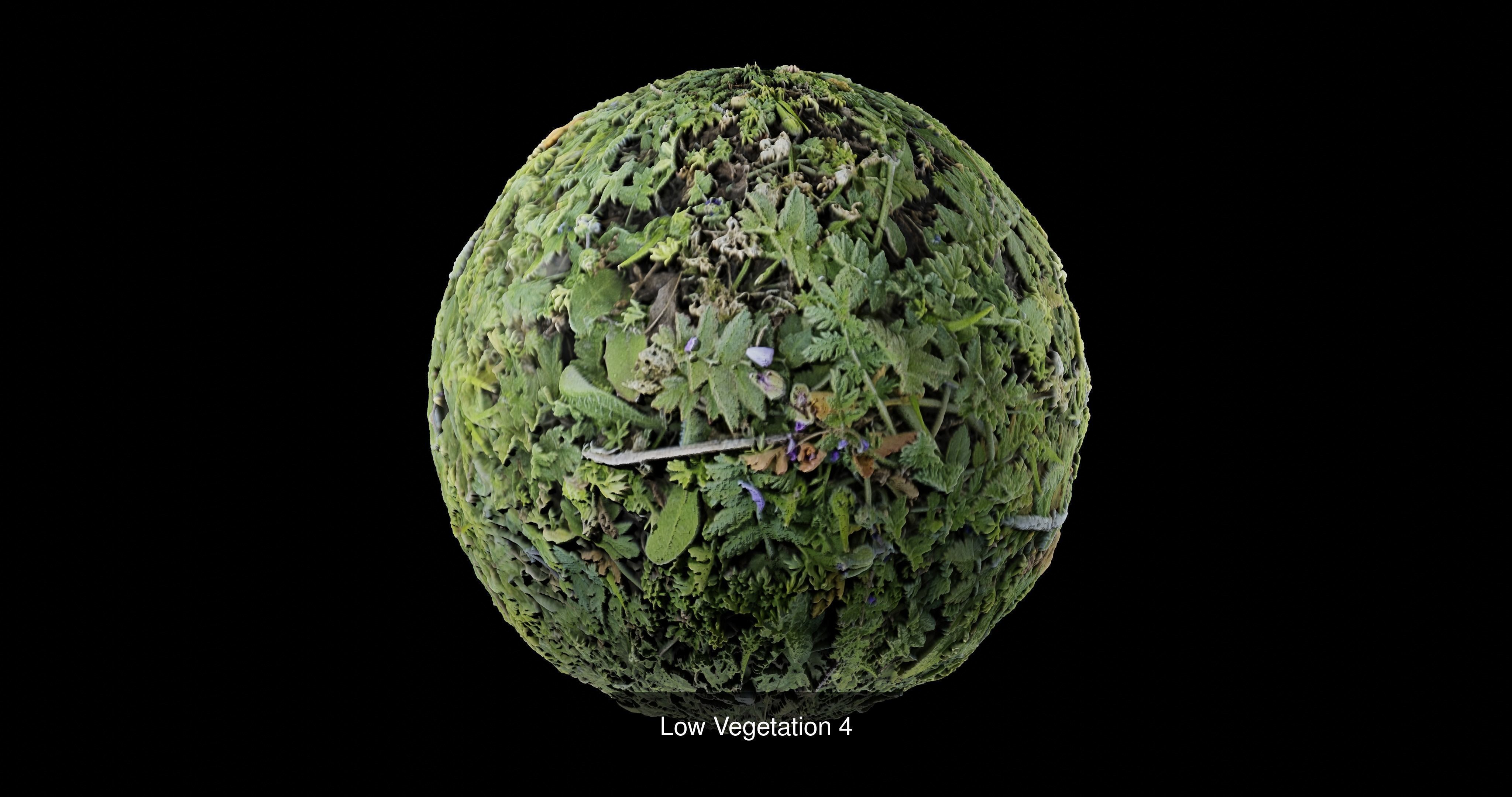Low Vegetation Pack Texture_4