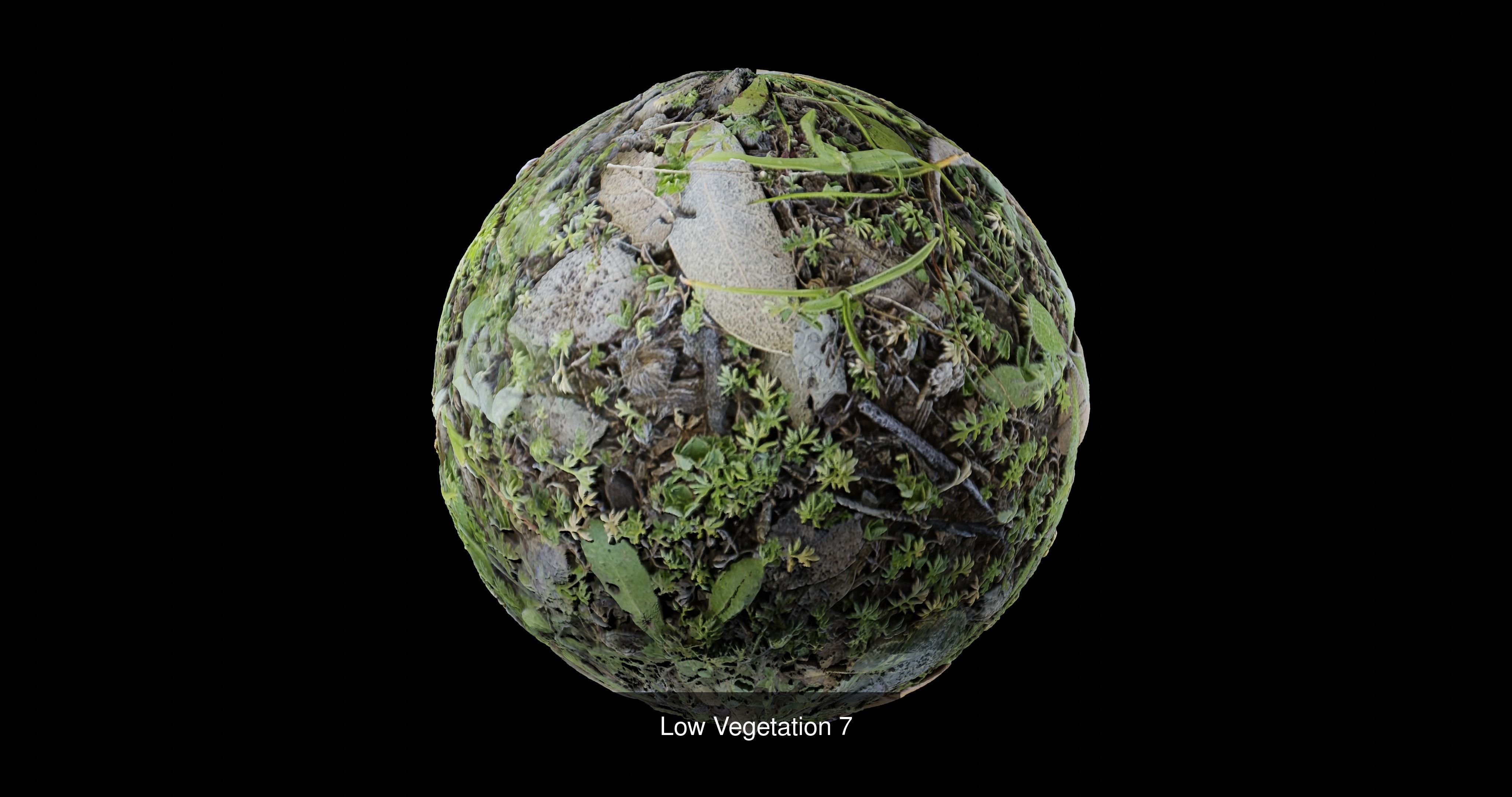 Low Vegetation Pack Texture_7