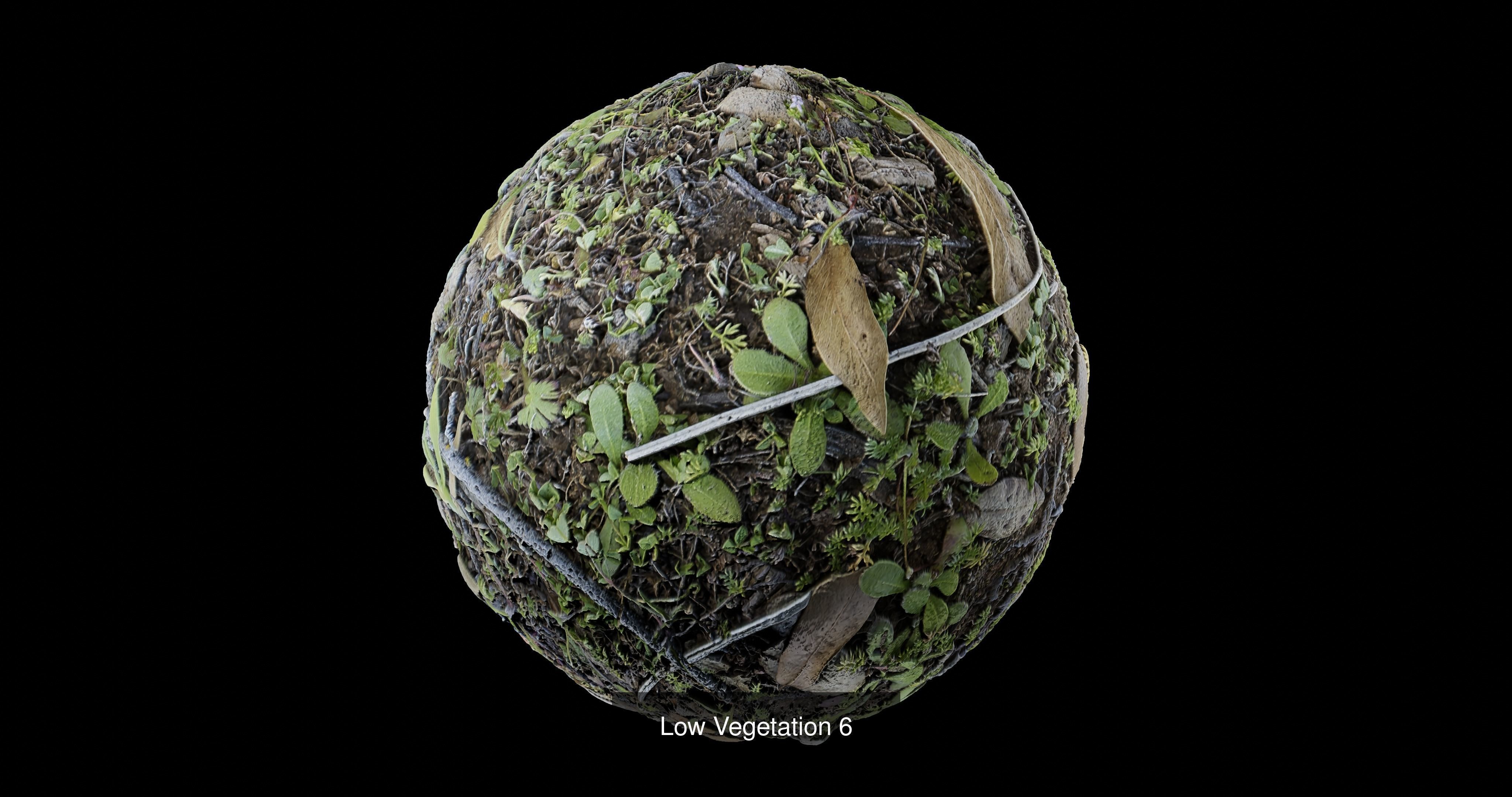 Low Vegetation Pack Texture_6