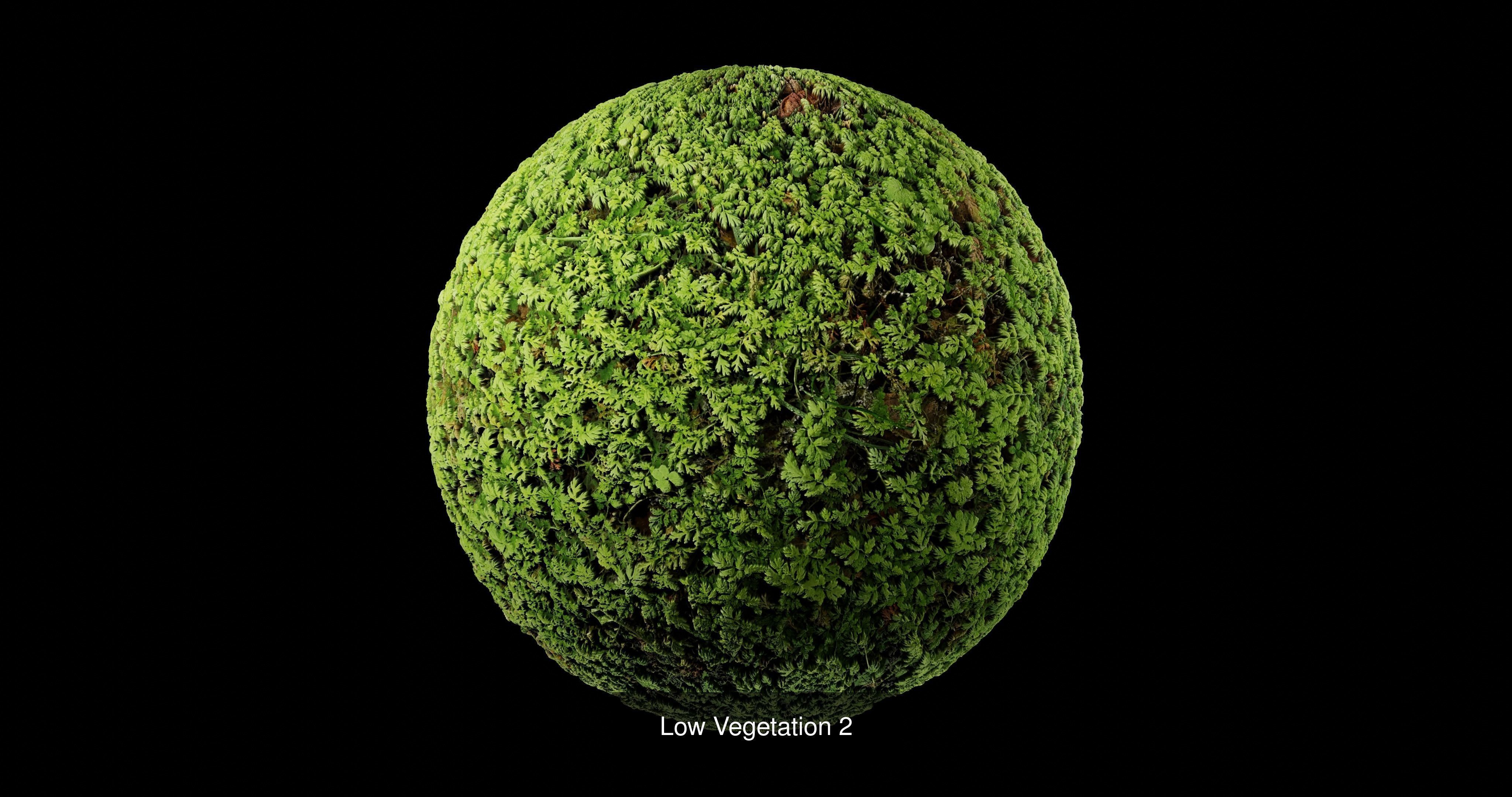 Low Vegetation Pack Texture_2
