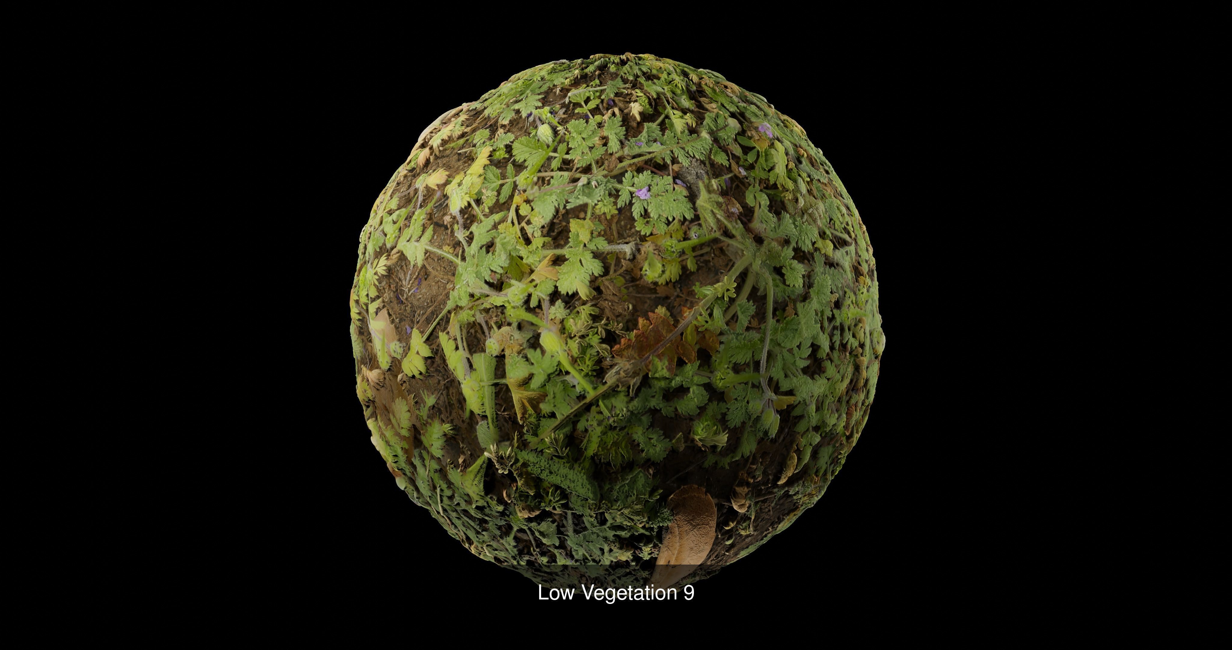 Low Vegetation Pack Texture_9