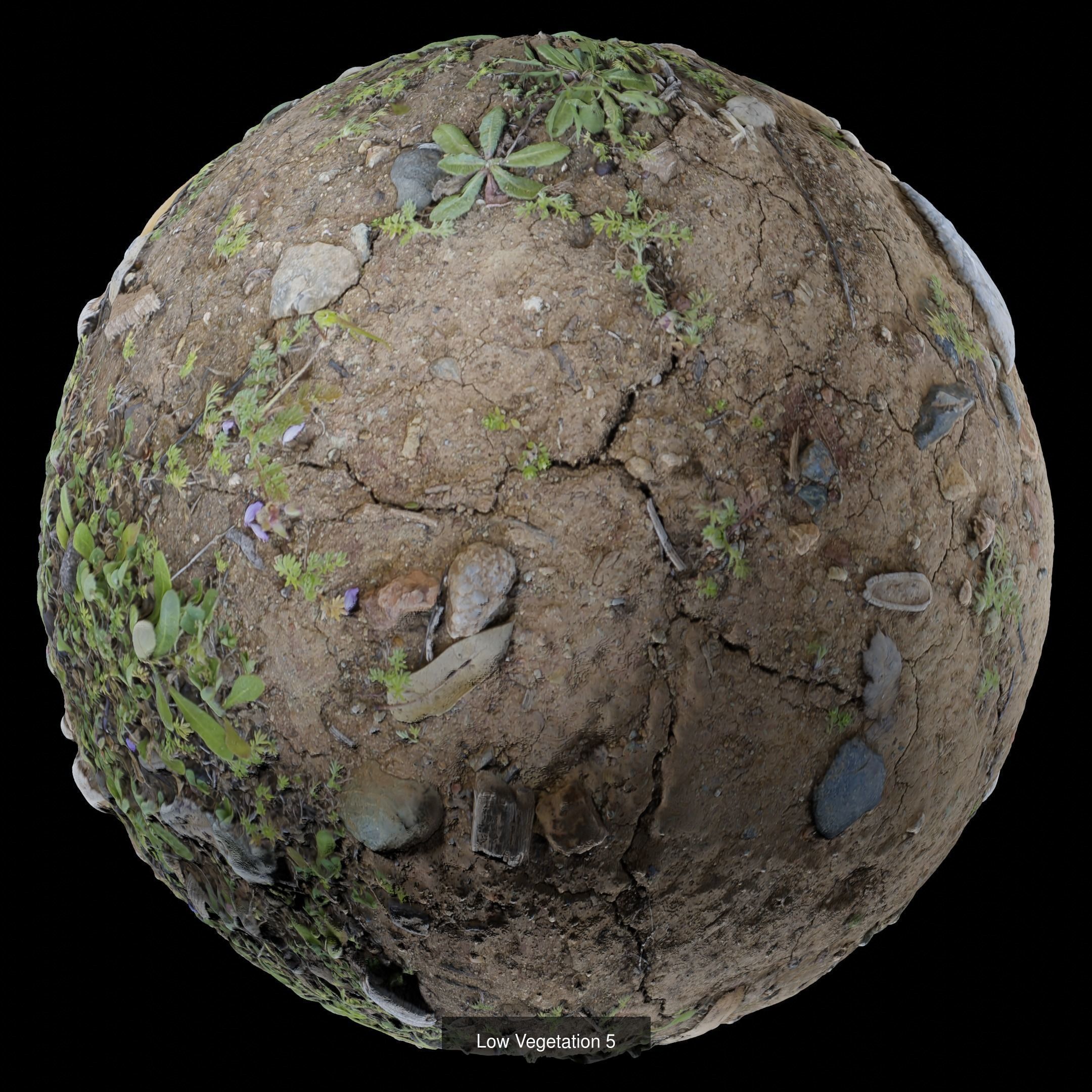 Low Vegetation Pack Texture_5