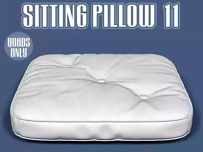 Sitting pillow 11