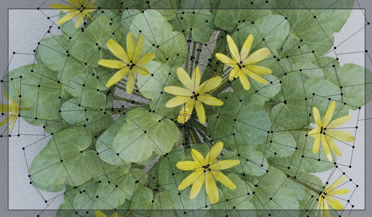 Fig Buttercup Spring Flower Low-poly 3D model_7