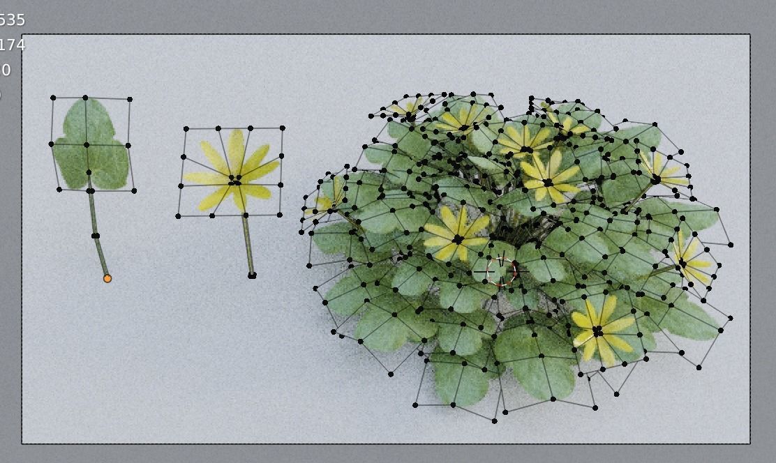 Fig Buttercup Spring Flower Low-poly 3D model_1