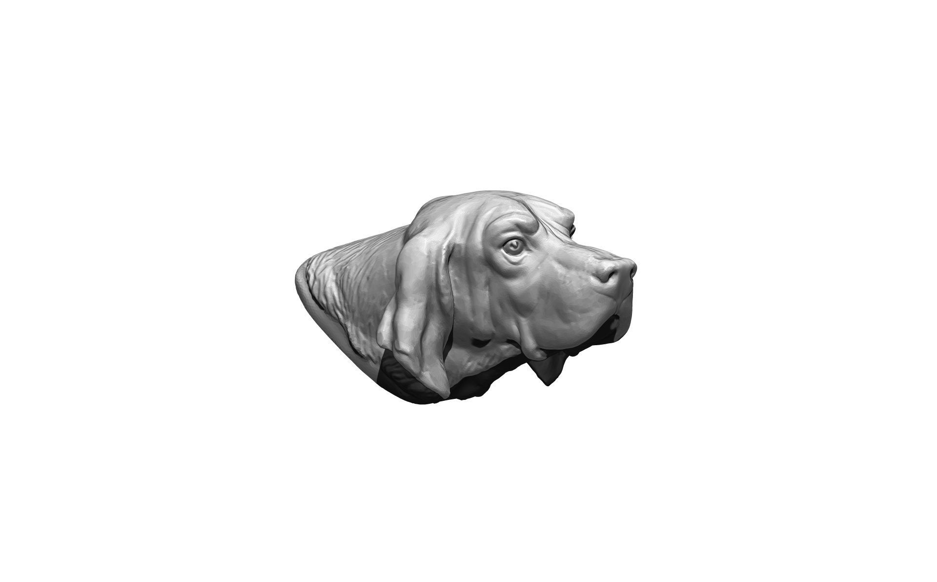 Dog head high detailed 3D print model_1