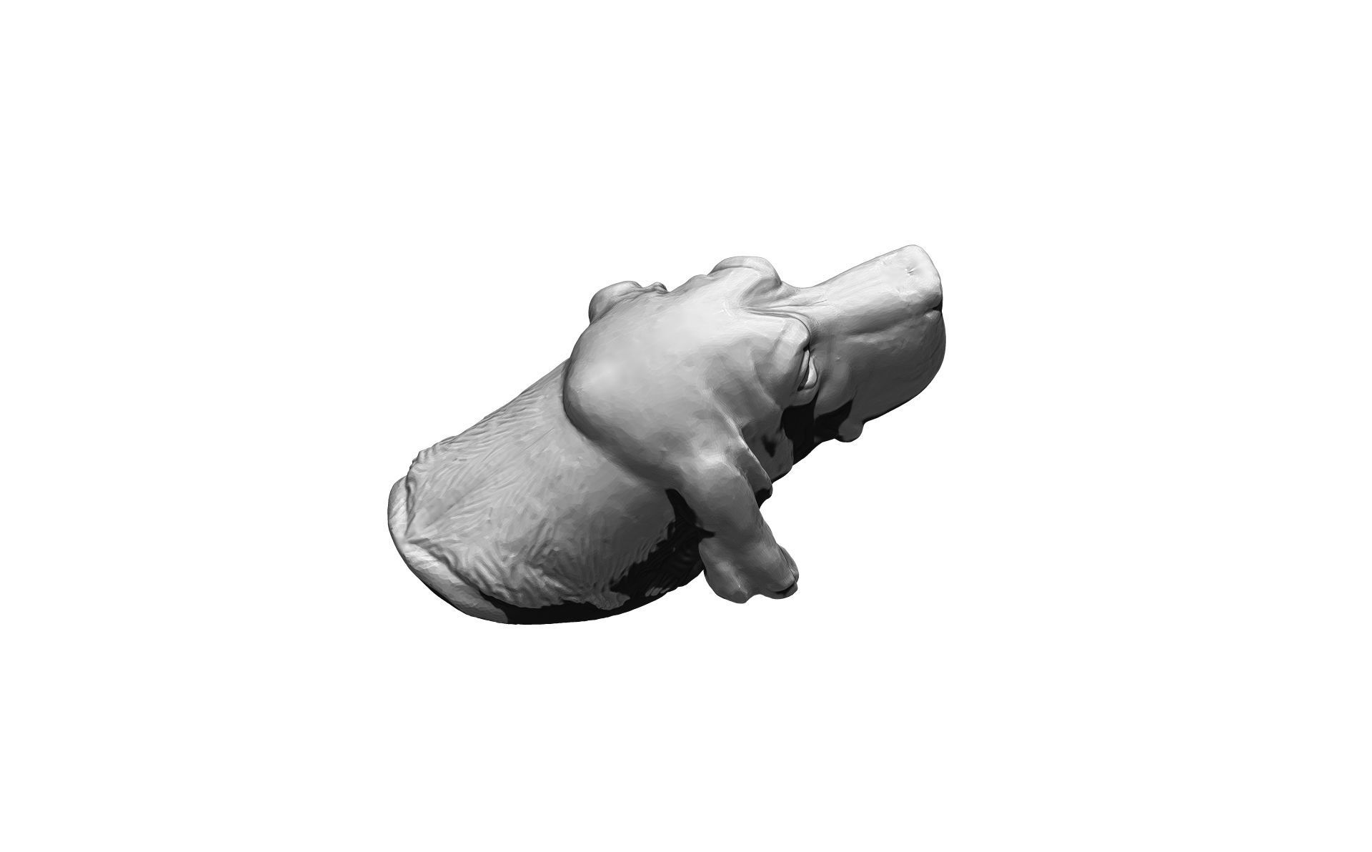 Dog head high detailed 3D print model_3