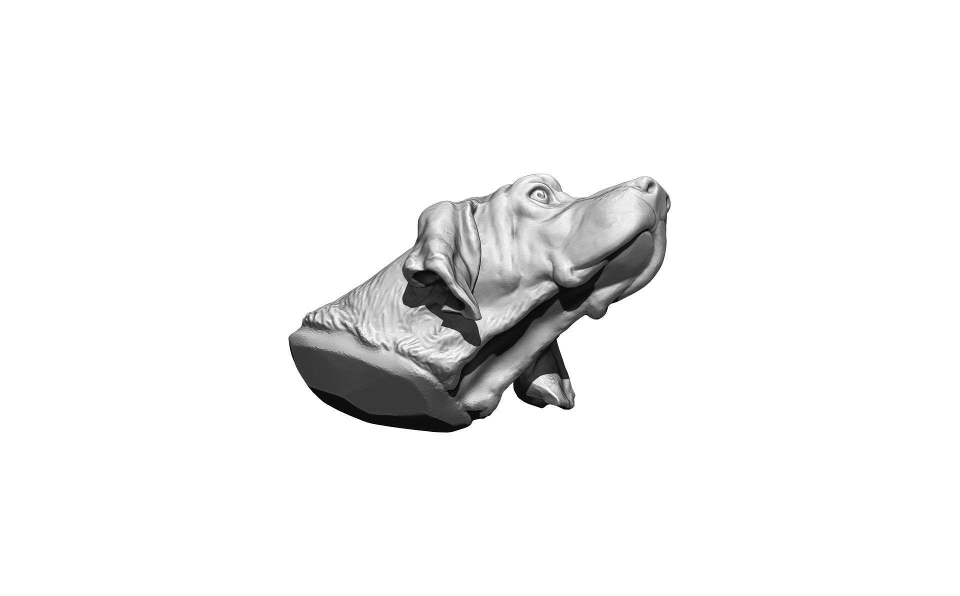 Dog head high detailed 3D print model_2