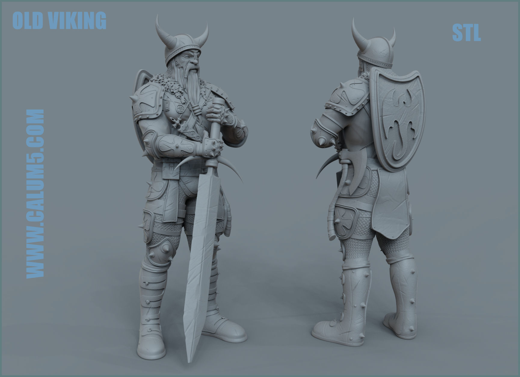 Old Viking 3D print model_5