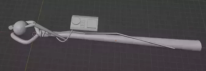 STAFF pole with camera