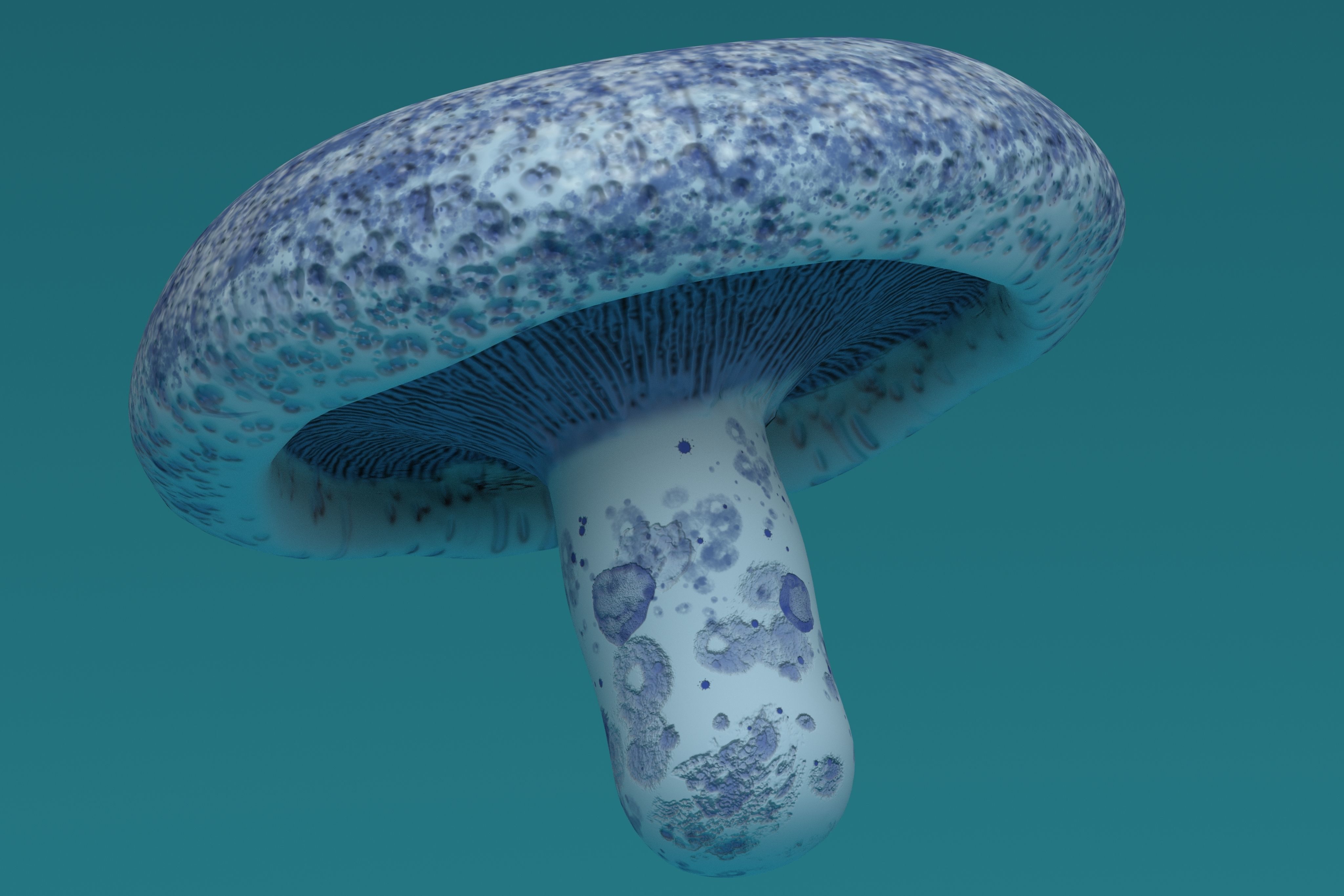 Mushroom Lactarius Indigo 3D model_4