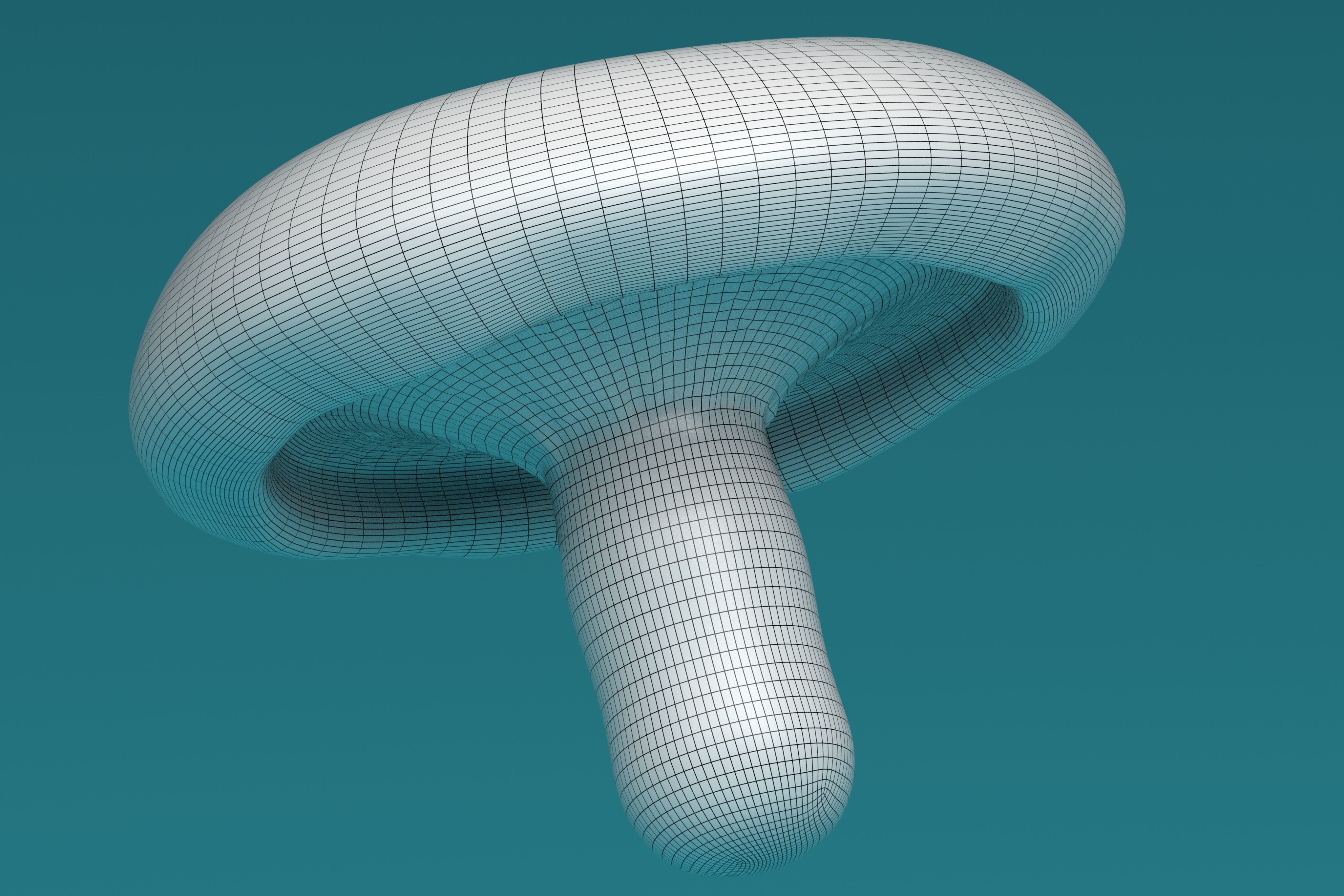 Mushroom Lactarius Indigo 3D model_8