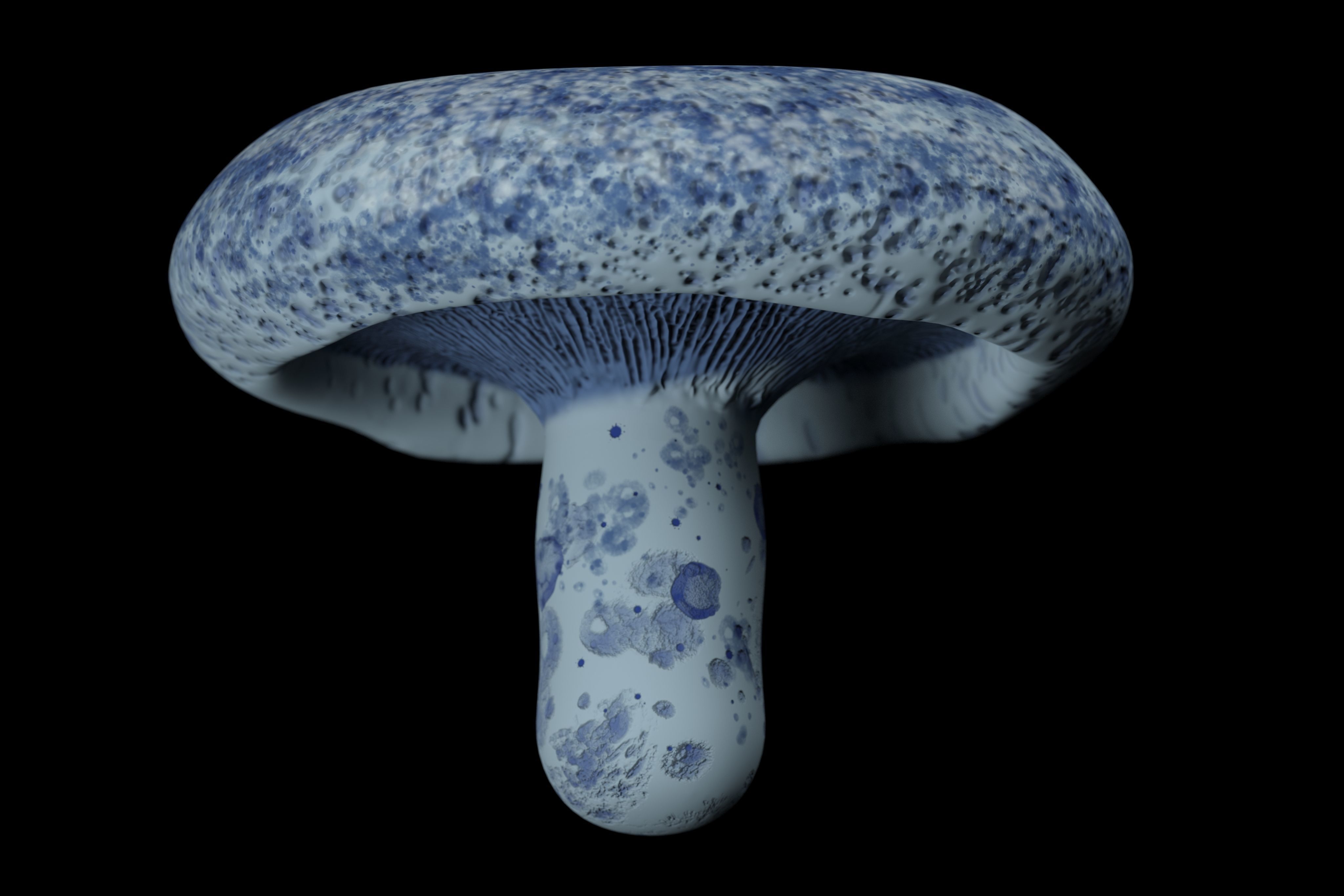 Mushroom Lactarius Indigo 3D model_3