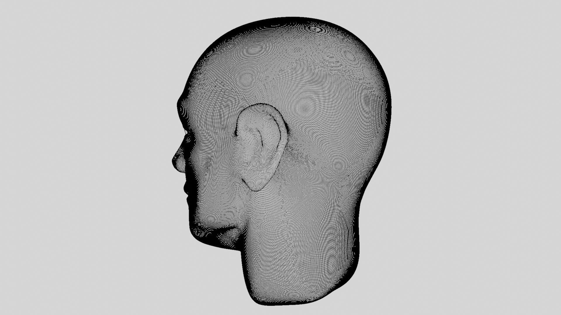 Face sculpt Low-poly 3D model_34