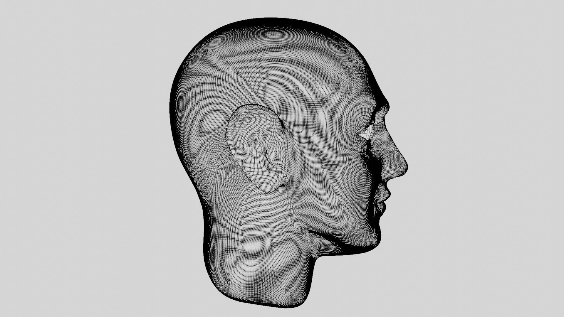 Face sculpt Low-poly 3D model_38