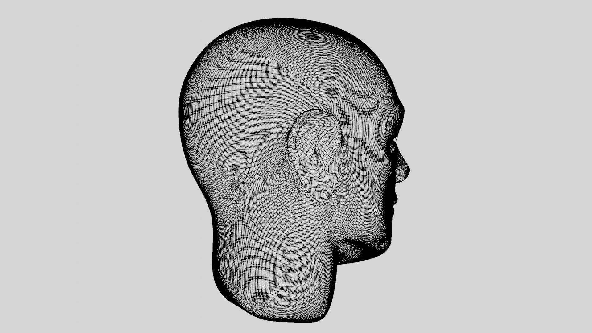 Face sculpt Low-poly 3D model_39