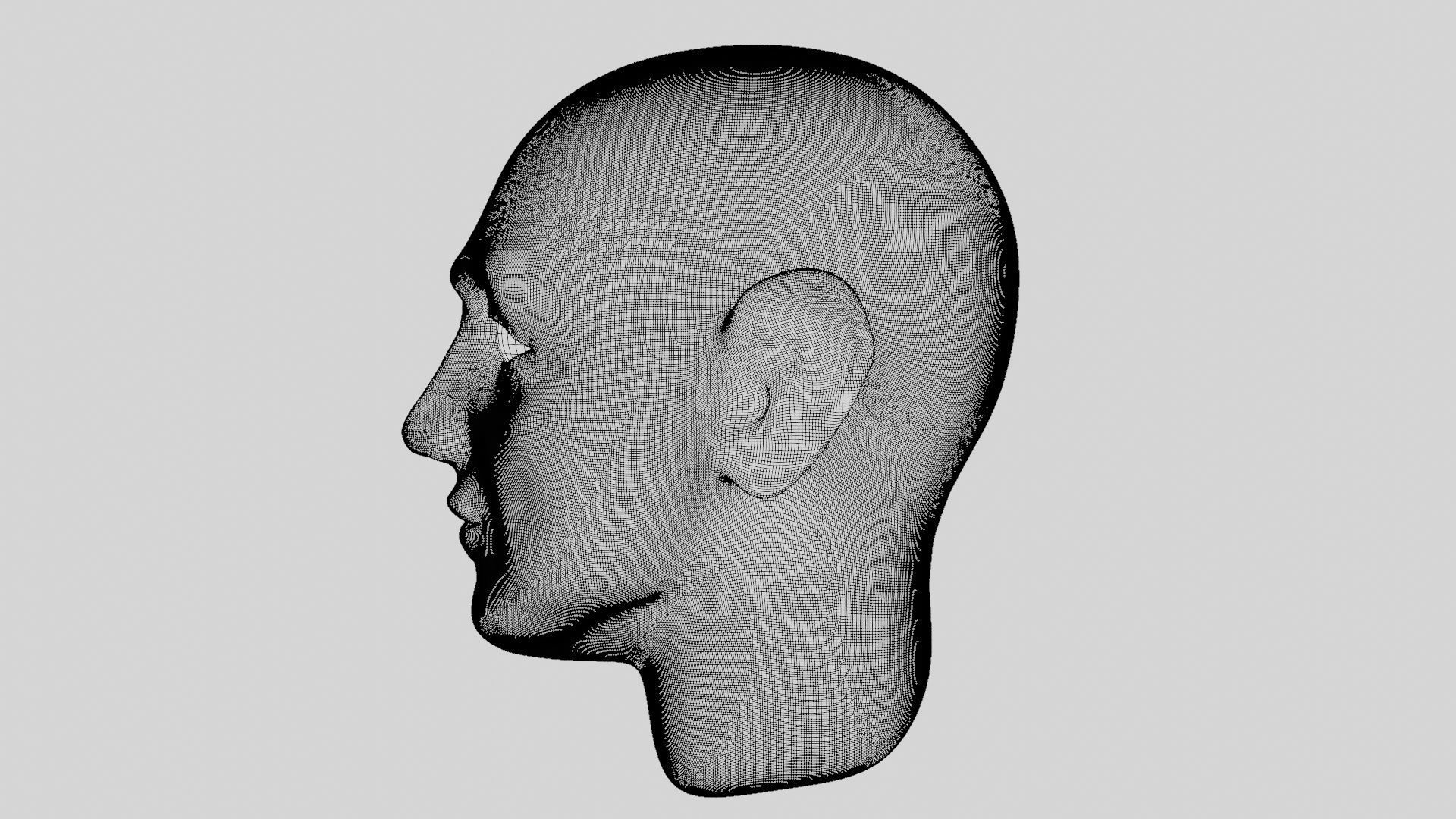 Face sculpt Low-poly 3D model_35